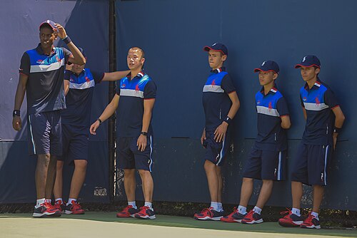 Tenis