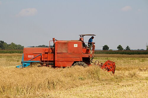 Rolnictwo