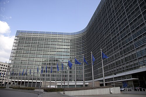 european union flag