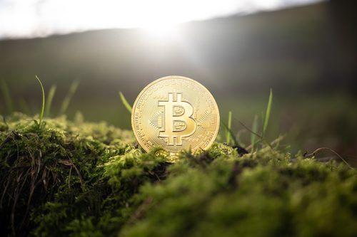 Kryptowaluty