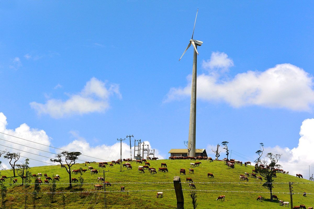 Energetyka wiatrowa