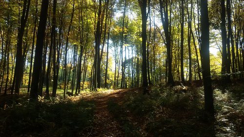 Klimat i środowisko