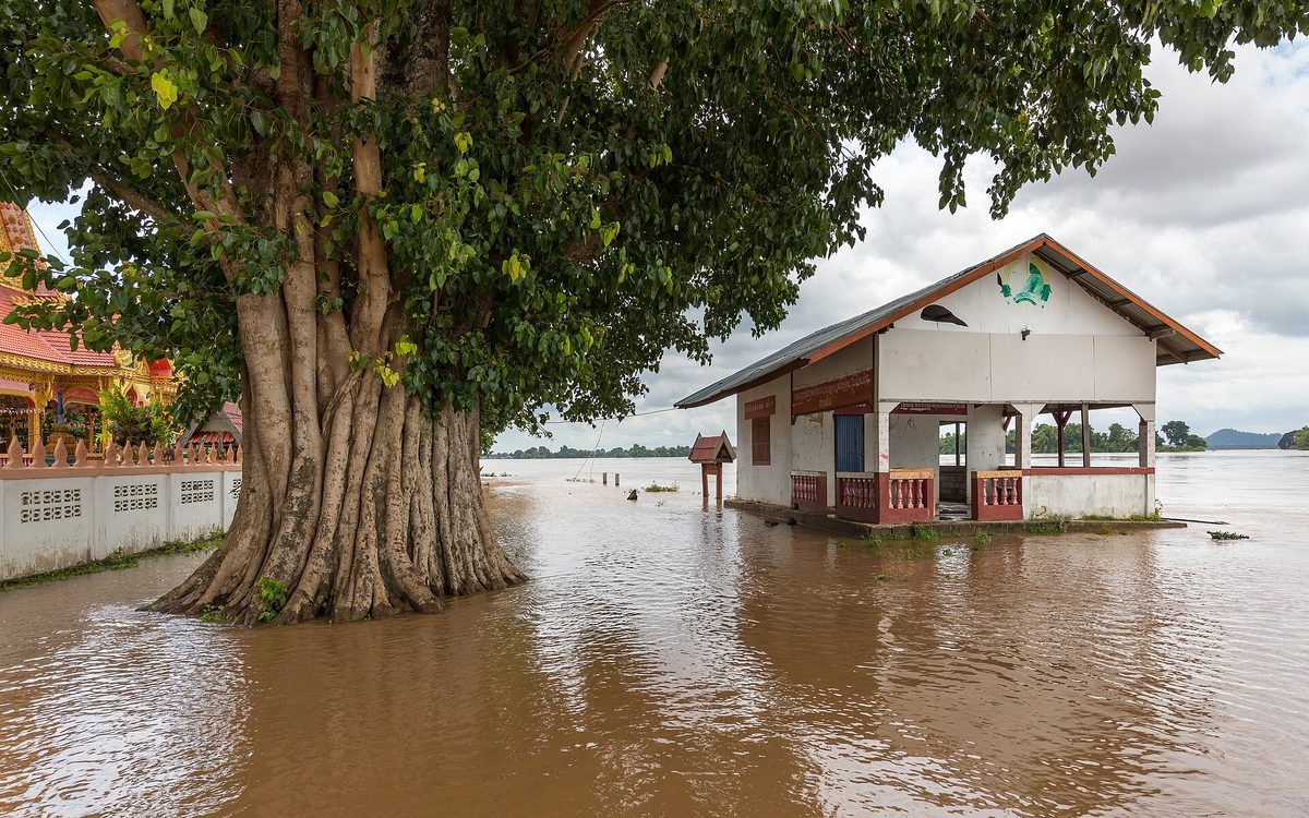 flooded landscape