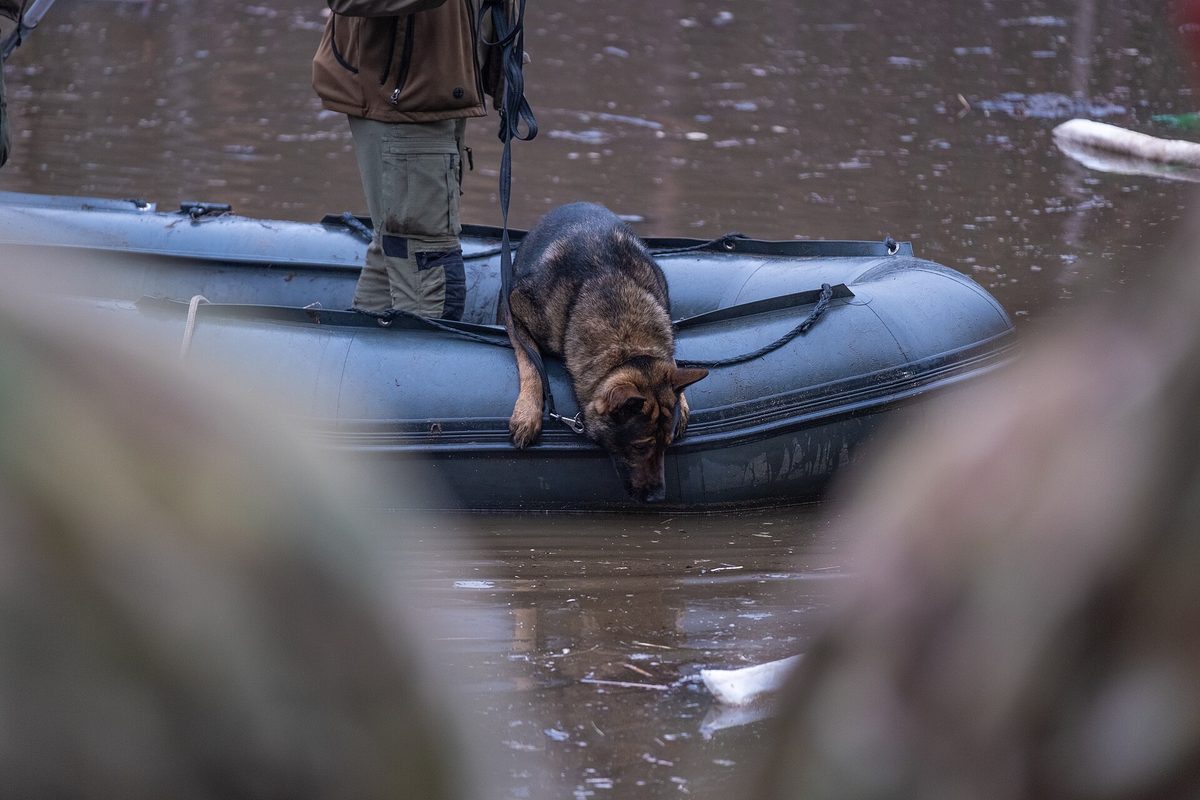 police search rescue