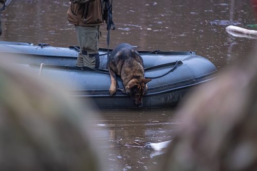 police search rescue