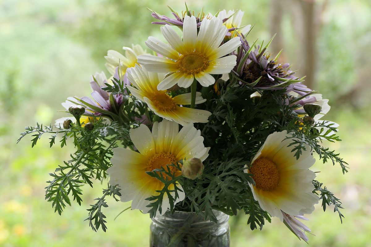flower bouquet