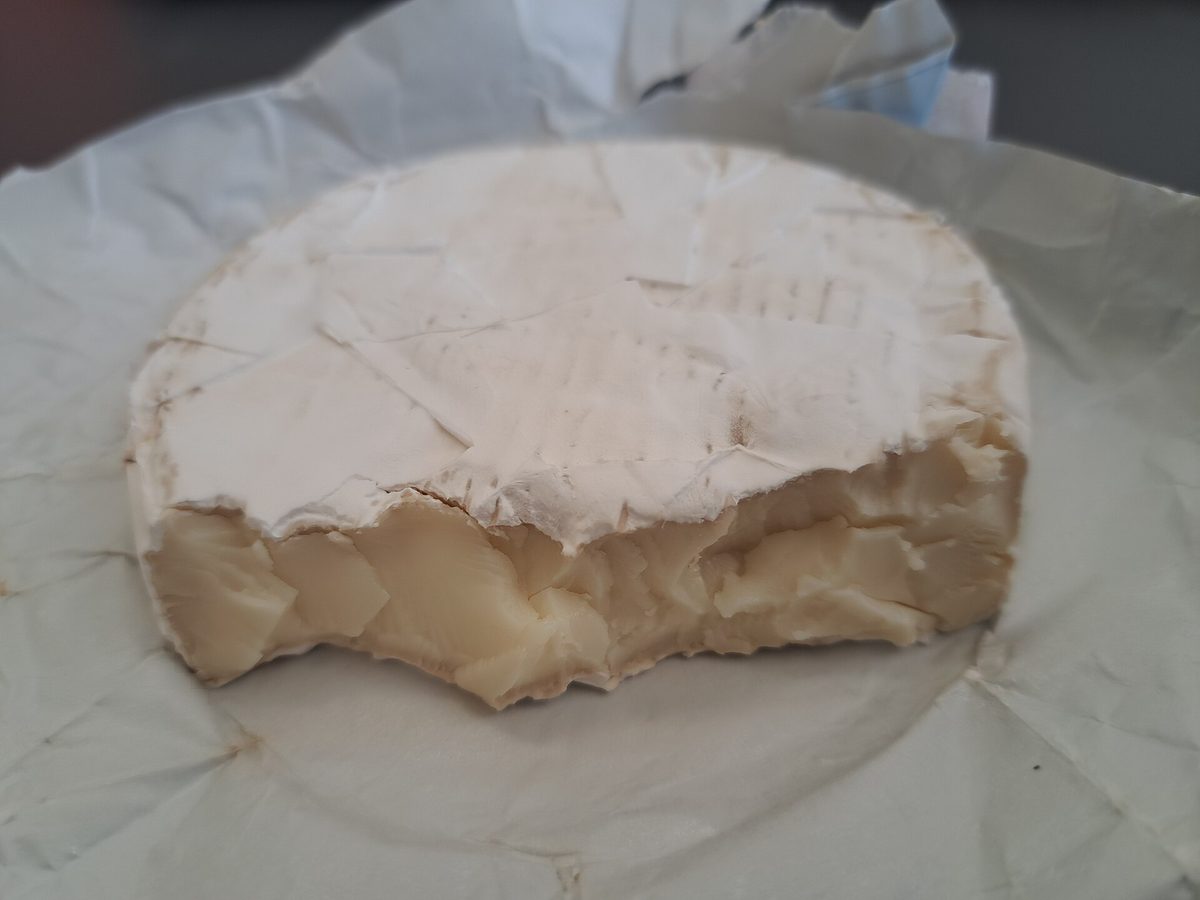 camembert cheese