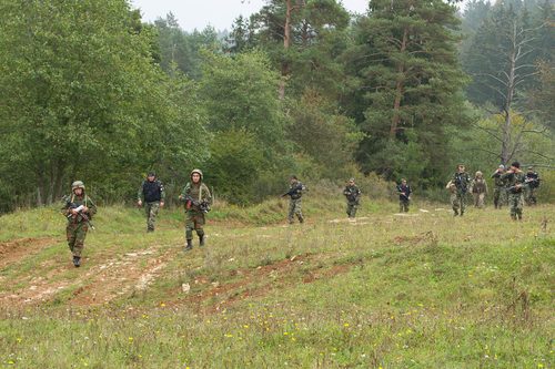 border patrol armed men