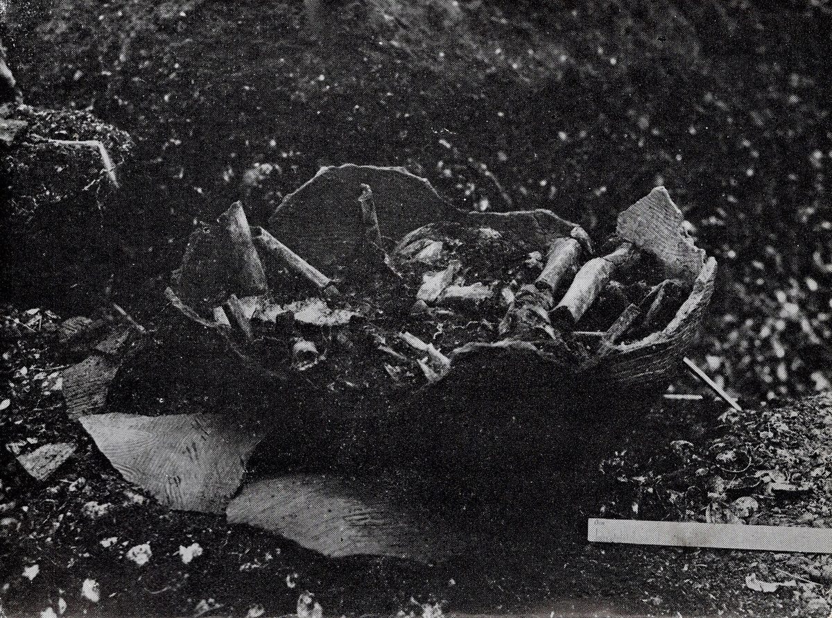 human bones excavation