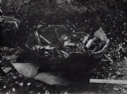 human bones excavation