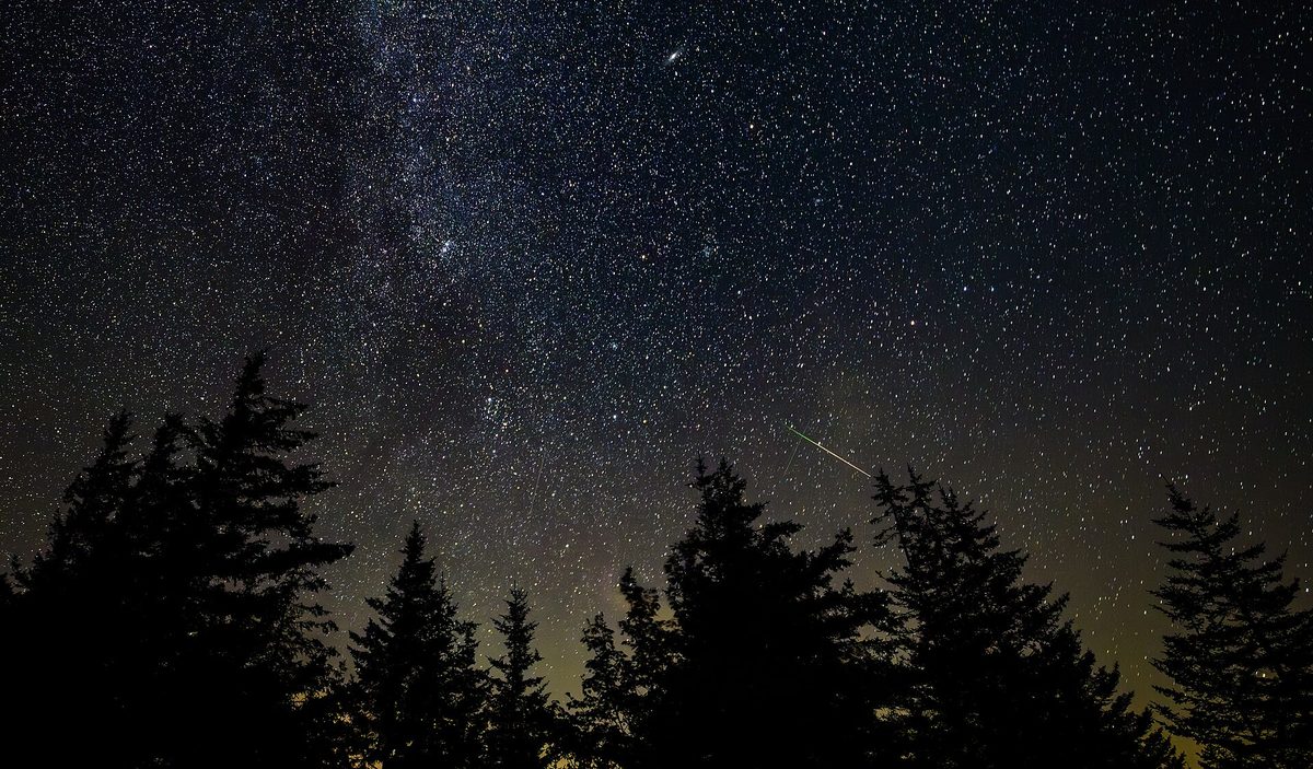 meteor shower night sky