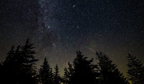 meteor shower night sky